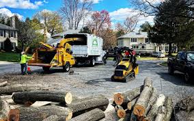 Best Lawn Pest Prevention  in Joshua Tree, CA